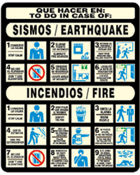 Qué hacer: Sismos/Inc. (Bilingüe)
